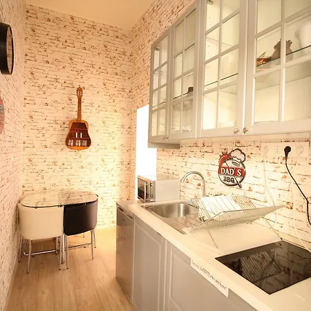 公寓 Susan Near Blaha Lujza Square